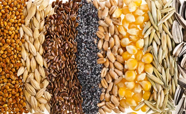 Feeds Analysis