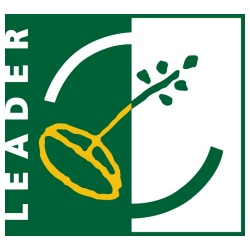 Partner