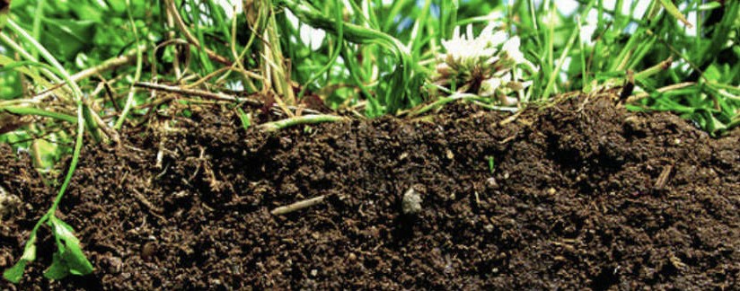 Soil Testing