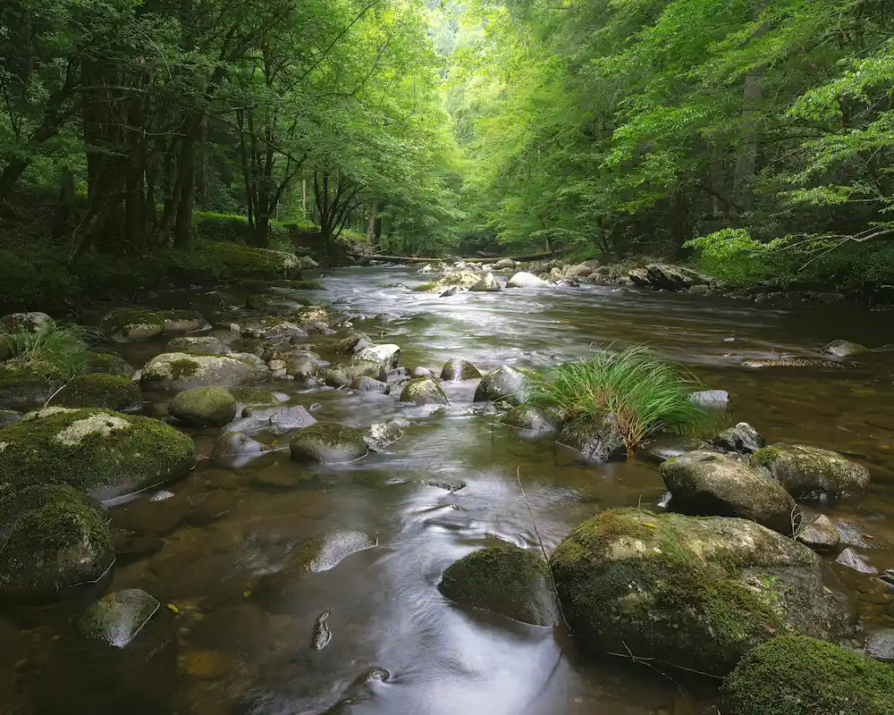 Environmental Monitoring