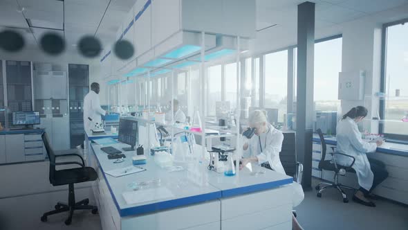 Research & Trial Support
