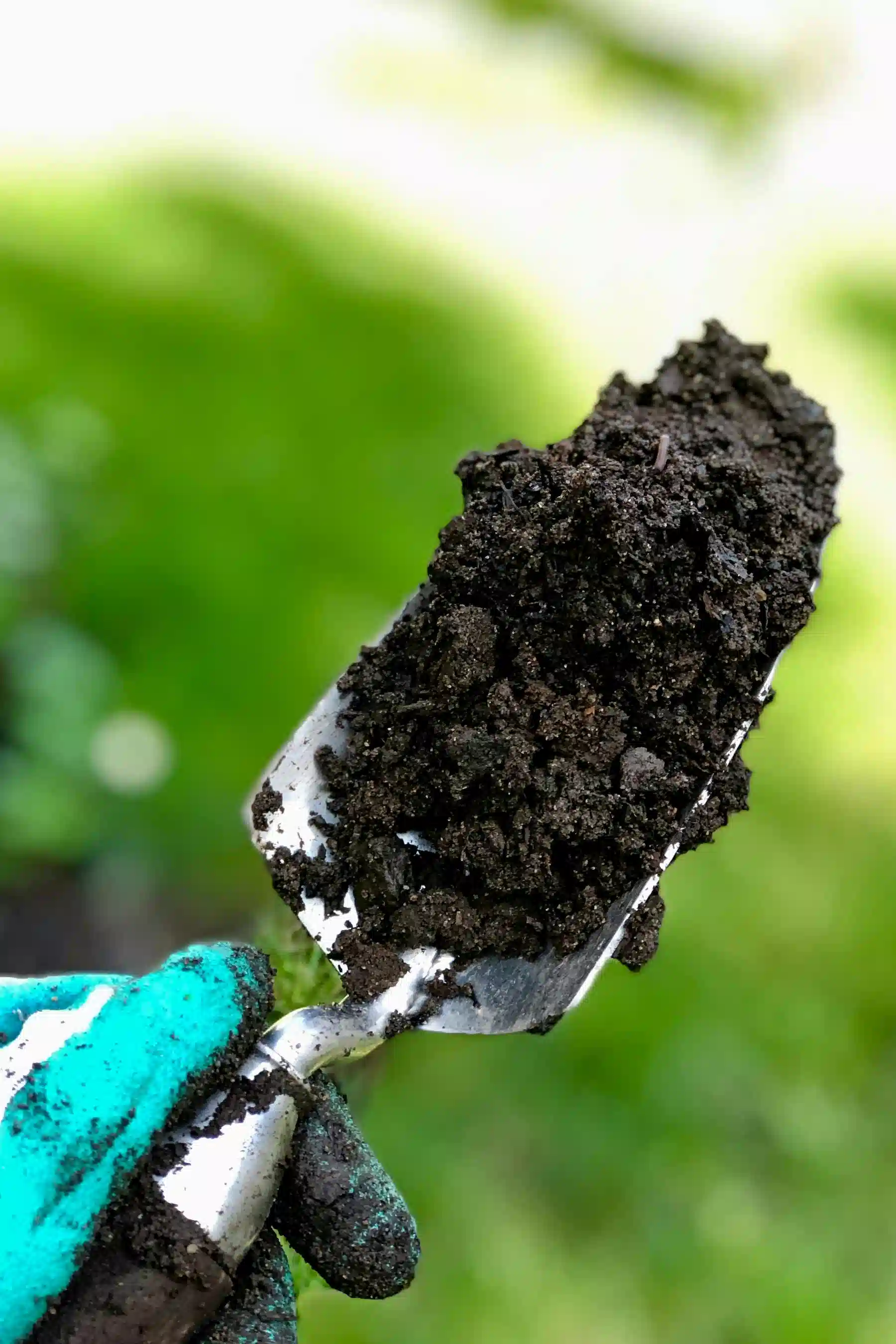 Soil & Nutrient Analysis