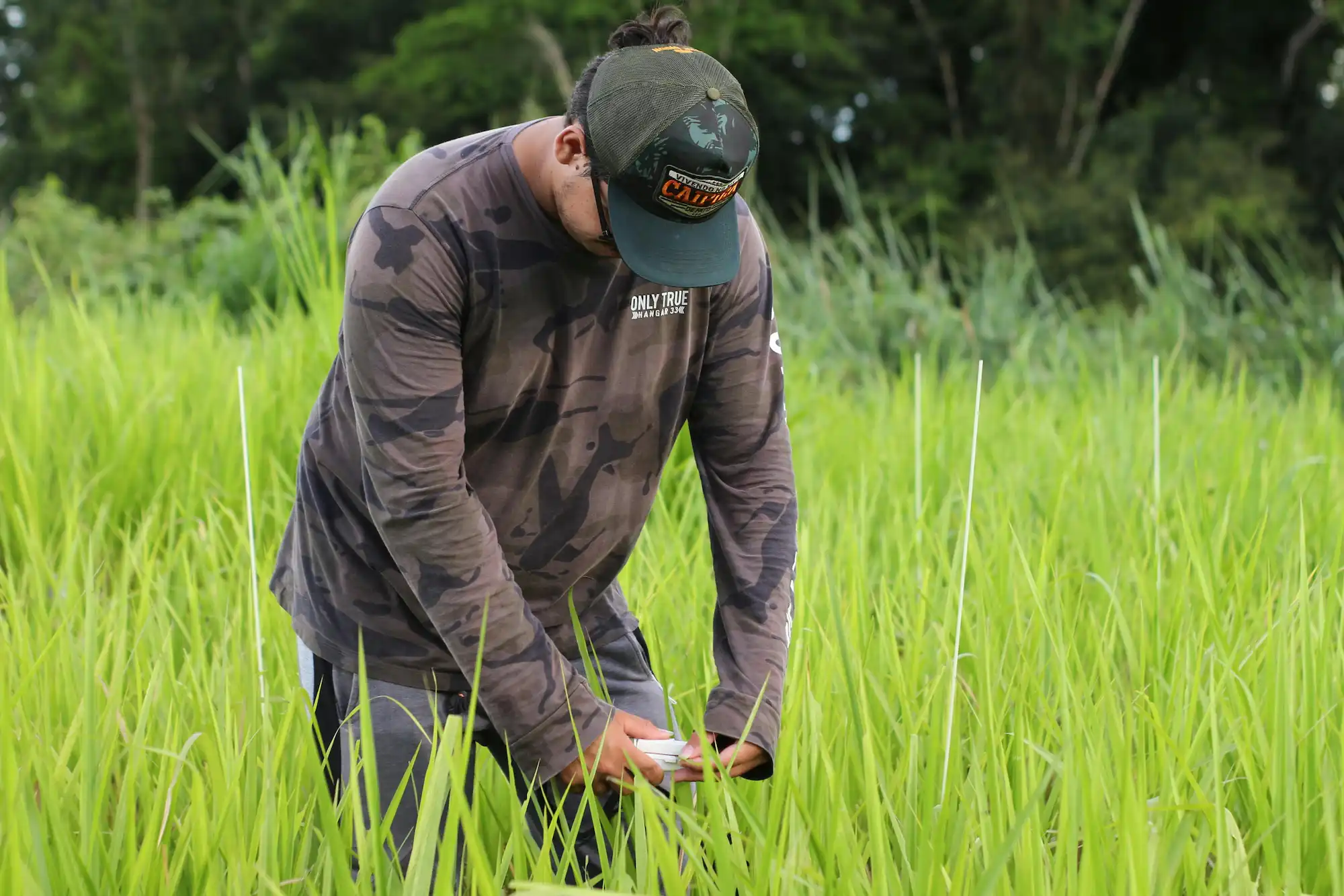 Soil & Environmental Support